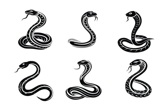 Anaconda Collection Iconic Logos, Silhouettes, and Vector Designs