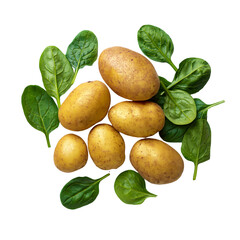 Washing and Soaking Vegetables