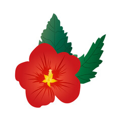 Obraz premium Red hibiscus flower with green leaves isolated on white background. Vector.