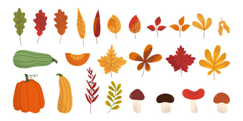 Set of autumn hand drawn leaves, pumpkins and mushrooms with textured effect. Modern flat vector fall elements.
