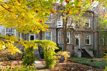 Fototapeta premium Row of historic attached houses seen during a sunny fall morning in the Montcalm area of Quebec City, Quebec, Canada