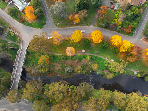 Aerial view of a steel bridge and a row of  Autumn coloured trees in parkland alongside a river