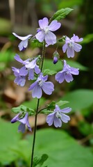 Vibrant purple wildflowers bloom gracefully in a lush green forest during springtime