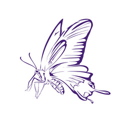purple flying butterfly silhouette icon on white background