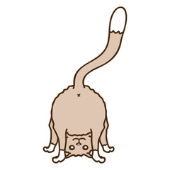 Funny Cat From Behind Shows Backside Ass Witty Adorable Cool Happy Friendly Sweet Little Kitten Cool Cartoon Cute Cats Lovers Comic Fun Love Kittens Feline Playful Kitties Fur Baby Paw Pet Owners