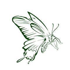 green flying butterfly silhouette icon on white background