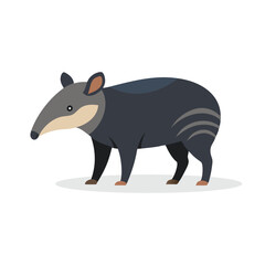 Tapir animal isolated flat vector illustration on white background