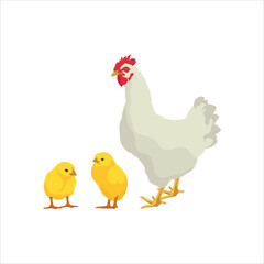 Vector ilustration of chicken livestocks in cartoon flat style.. Hen, rooster and chick domestic animals in farmland. Icon for logo, symbol, poster, infographic, digital resources, protein fauna