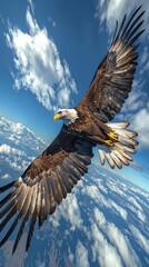 Fototapeta premium Sovereign Skies: Bald Eagle in Flight Panorama