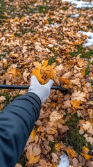 Obraz premium Hands in red gloves gather a pile of vibrant autumn leaves on the green grass, showcasing the beauty of fall cleanup efforts