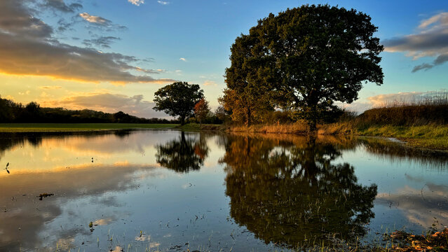 autumn reflections