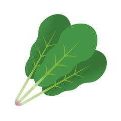 ほうれん草のイラスト・アイコン