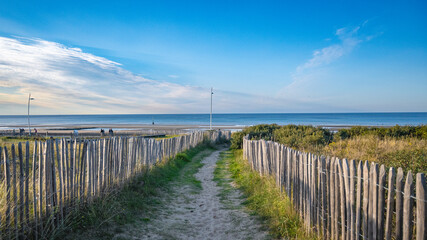 Landscape with wooden fence.  