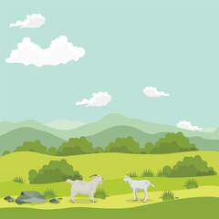 Vector illustration of goat in green grass field. Group of goat in cartoon flat style. Domestic animal livestock as a protein resources. Farmland agriculture nature, rural concepts for icon, logo