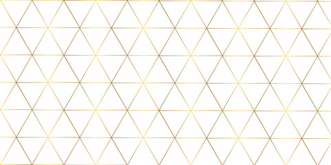 Fototapeta premium Abstract elegant background line texture. Abstract geometric overlapping hexagon pattern abstract futuristic background design. use for poster, banner, pattern, data concept. vector illustration. 