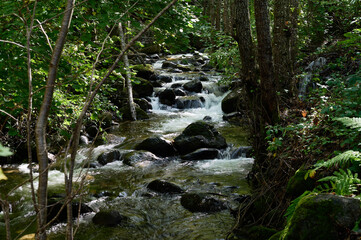 the Cuerpo de Hombre River with its cascades, feeding channels through Candelario, Ávila, Castilla...