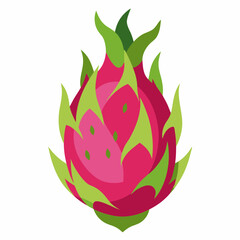 Exotic dragon fruit isolated on white. Vector cartoon illustration