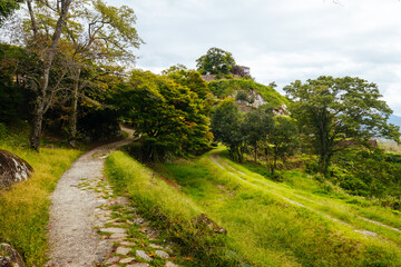 Obraz premium Naegi Castle Ruins in Japan