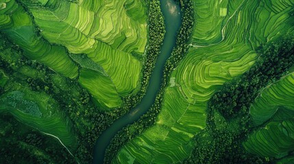Obraz premium Lush green fields with a curving river captured from above, highlighting nature's serene beauty.