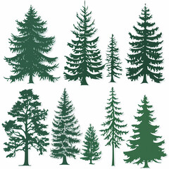 Obraz premium Winter forest silhouettes of fir trees and spruces with wood tree background.