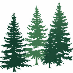 Winter forest silhouettes of fir trees and spruces with wood tree background.