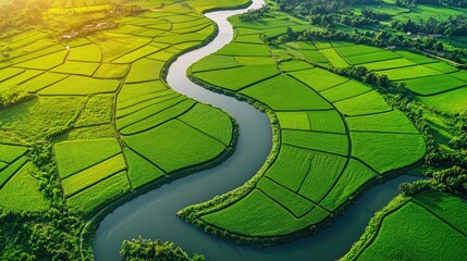 Aerial view of a river twisting through lush green fields, its natural curves creating breathtaking patterns from above