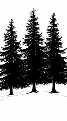 Obraz premium Winter forest silhouettes of fir trees and spruces with wood tree background.