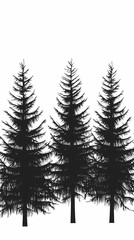 Obraz premium Winter forest silhouettes of fir trees and spruces with wood tree background.