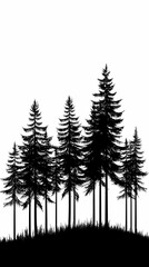 Obraz premium Winter forest silhouettes of fir trees and spruces with wood tree background.