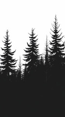 Obraz premium Winter forest silhouettes of fir trees and spruces with wood tree background.
