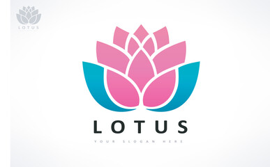 Lotus flower logo vector design
