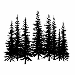 Fototapeta premium Winter forest silhouettes of fir trees and spruces with wood tree background.