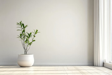 empty room interior background, beige wall, pot with plant