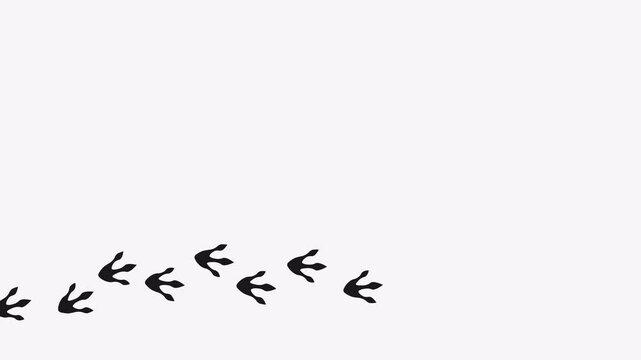 Cute dinosaur footprints video. Animation of Paw trail prints on white background. 4K