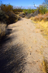 Arizona Desert Arroyo