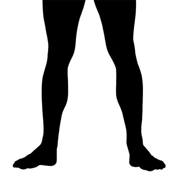 recommend clip art: Silhouette of male legs isolated on white background. Front view. Vector illustration.