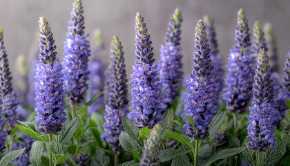 Naklejka premium Purple flower head in nature, beauty in botany generated by AI