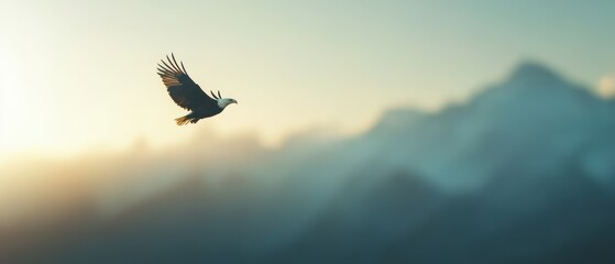 Fototapeta premium A majestic bird soaring gracefully against a backdrop of serene mountains during sunrise.