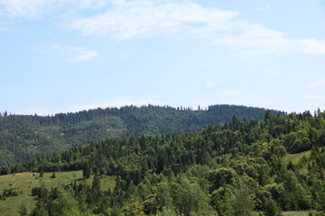 Beautiful view of forest in mountains under blue sky