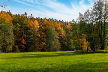 Fototapeta premium A field surrounded by a forest area in autumn sometimes. 