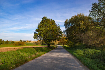 A peaceful countryside road autumnal fields and serene natural surroundings.