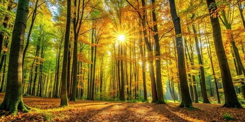 Close-up view of autumn forest trees with sunlight filtering through the green wood
