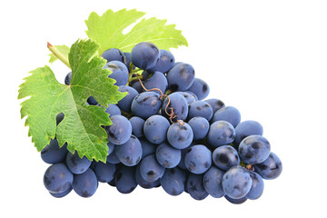 Bunch of grapes isolated on white