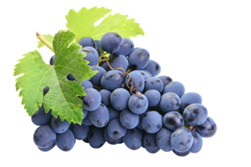 Bunch of grapes isolated on white