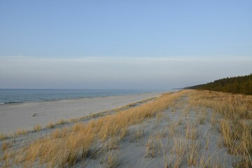 Serene beach landscape with sand dunes and grass.