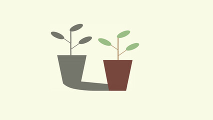 beatiful plant in the garden for wallpaper