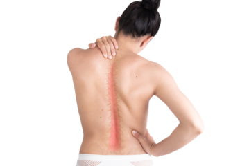 person from back showing their spine, body health, rehabilitation