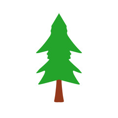 Christmas Pine Tree Illustration
