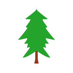 Christmas Pine Tree Illustration