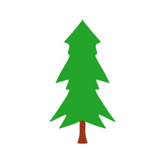 Christmas Pine Tree Illustration